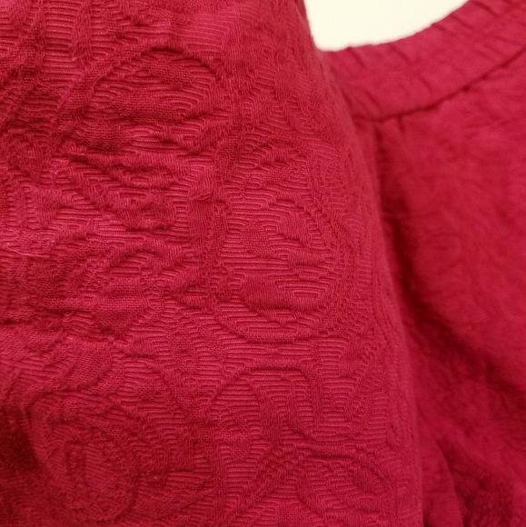 Raspberry J. Crew Shorts - Picture 4 of 4